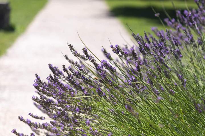 Espace de location pour événements Apt