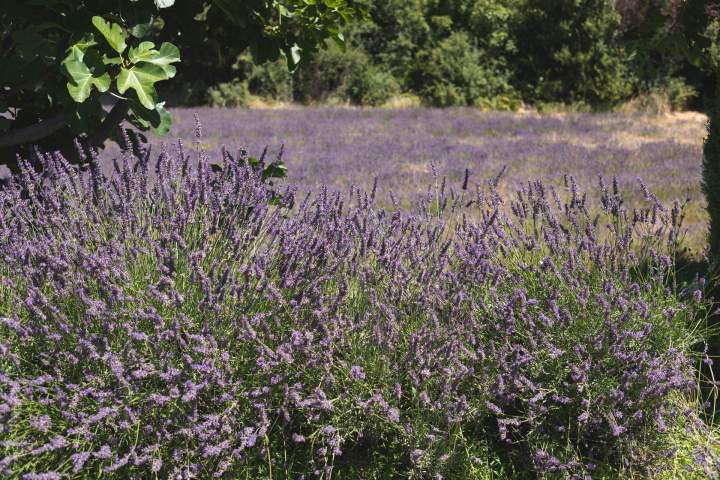 Espace de location pour événements Apt