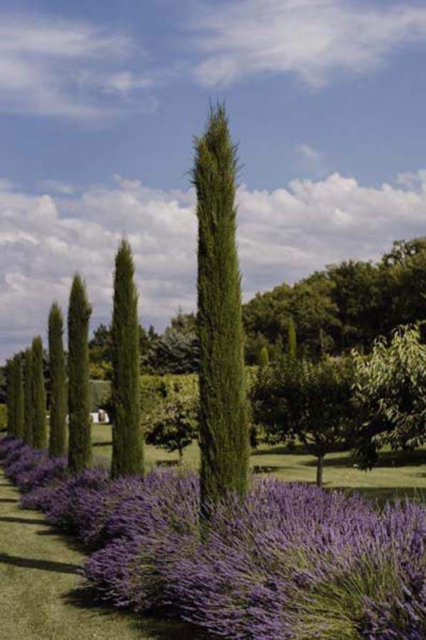 Private event space Apt